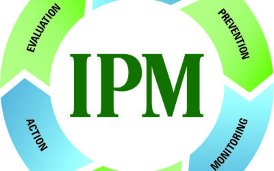 Understanding Integrated Pest Management (IPM): A Smarter, Safer Way to Handle Pests